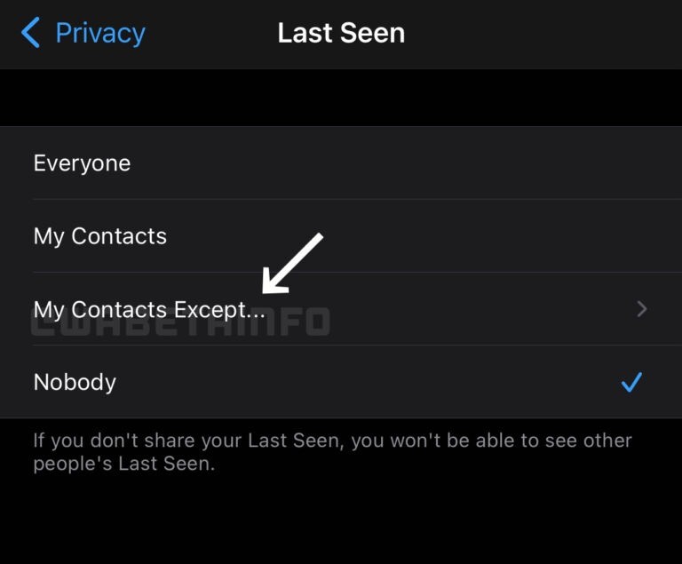 whatsapp-last-seen-visibility-options.jpg