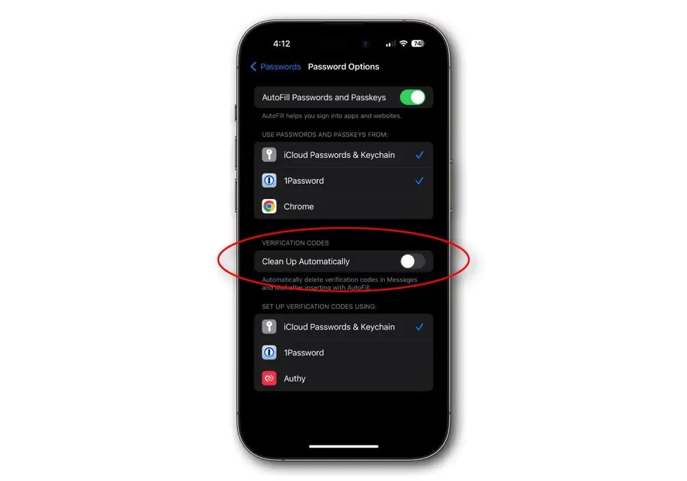 ios-17-clean-up-verification-codes.jpg