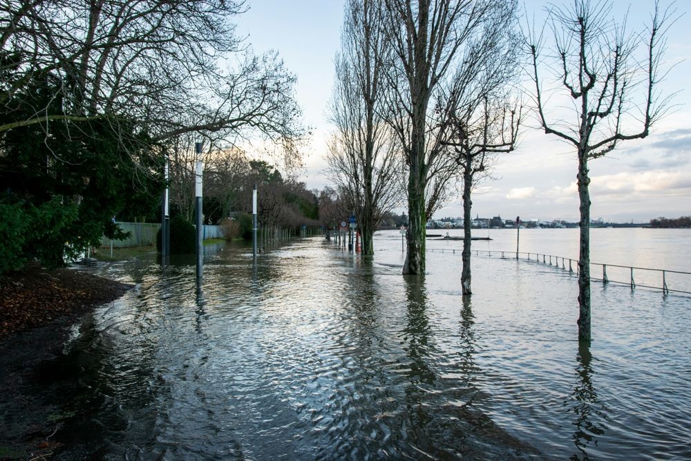 Η AI της Google προβλέπει πλημμύρες ποταμών έως και 7 ημέρες νωρίτερα
