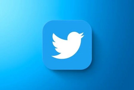 Twitter confirms Twitter Blue paid subscription