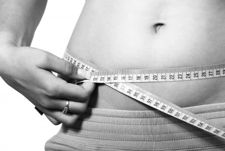 Scientists discovered a crucial protein that could aid in the loss of belly fat