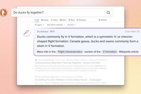 Η DuckDuckGo προσθέτει και αυτή AI απαντήσεις στα προϊόντα της
