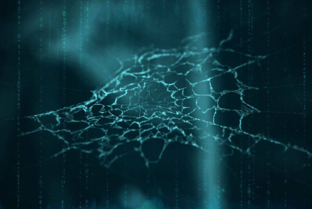 The shadow economy of stolen data: Journeying through the Dark Web