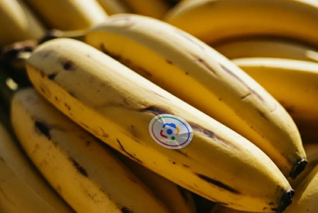 Google’s Nano Banana expands beyond Gemini