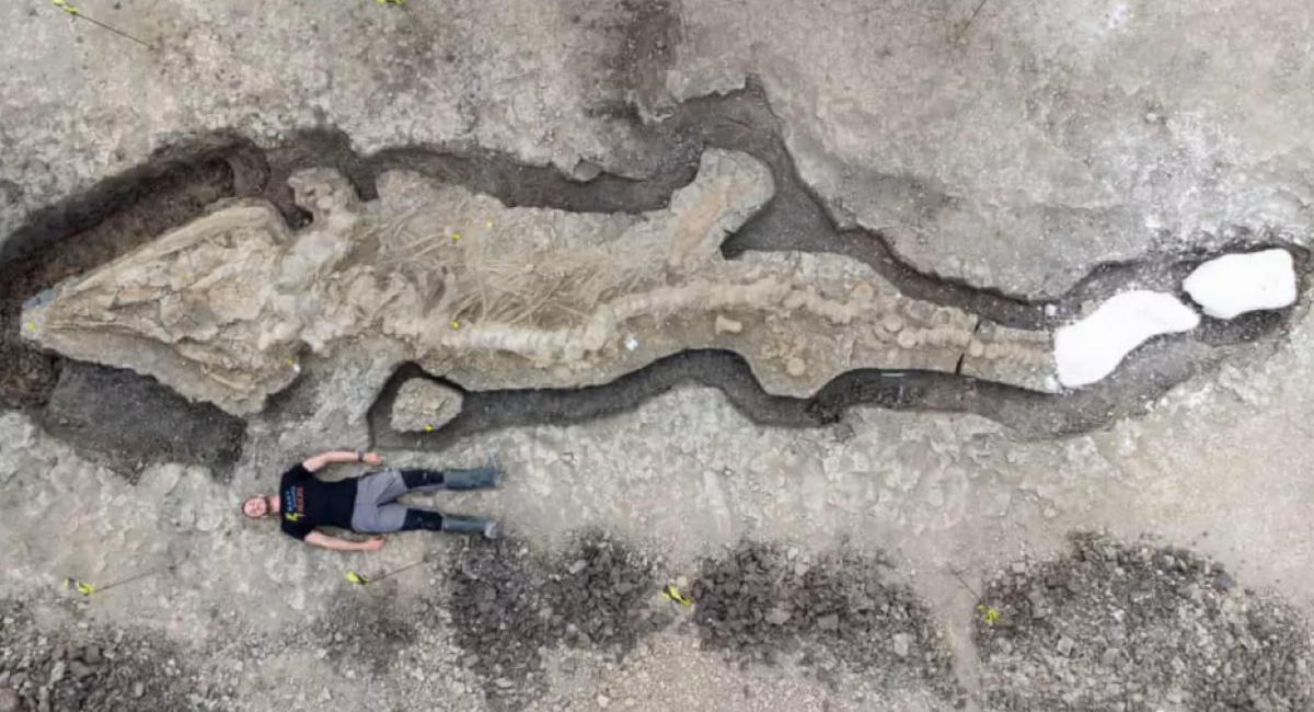 Giant "sea dragon" fossil discovered in the UK
