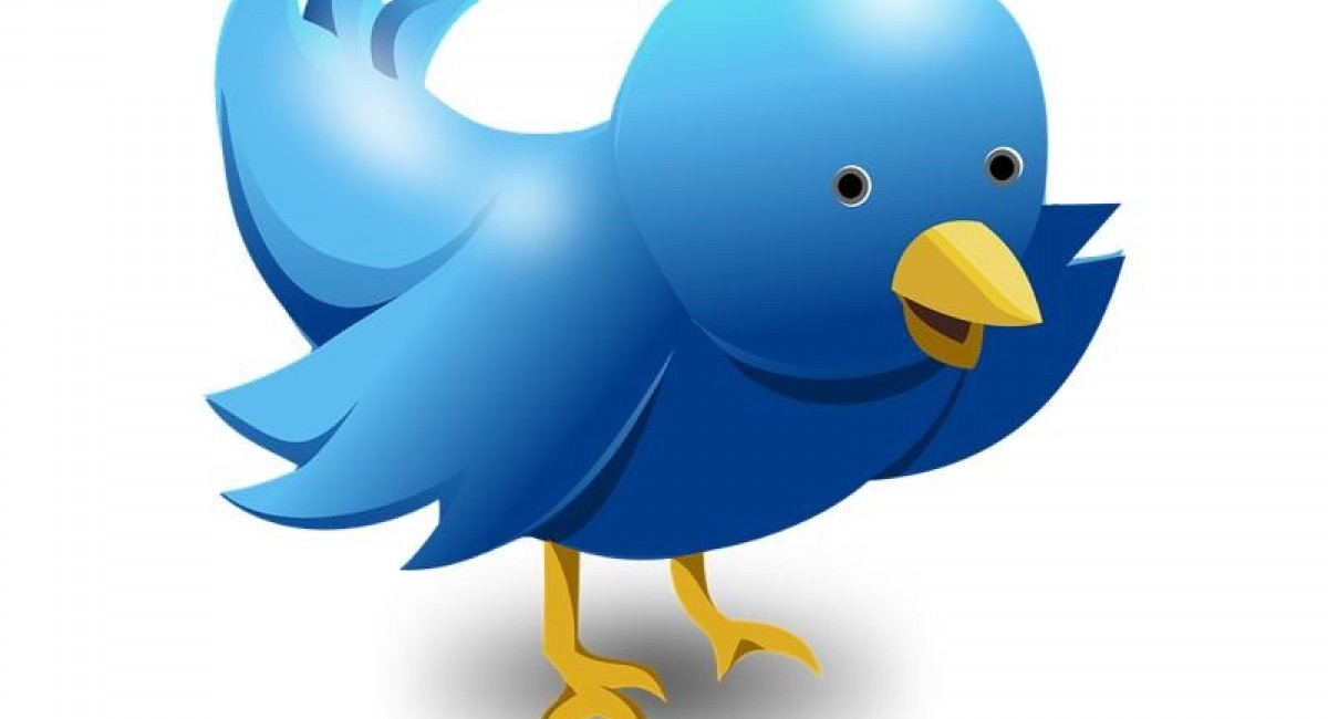 Twitter launches its paid subscription service Twitter Blue