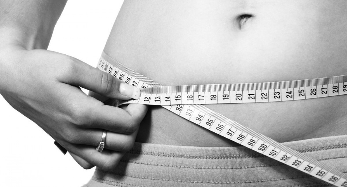 Scientists discovered a crucial protein that could aid in the loss of belly fat
