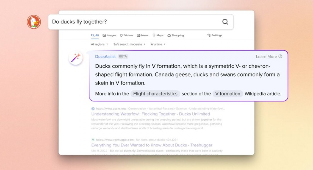 DuckDuckGo introduces AI generated answers to its products